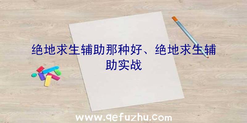 绝地求生辅助那种好、绝地求生辅助实战