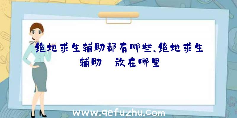 绝地求生辅助都有哪些、绝地求生辅助