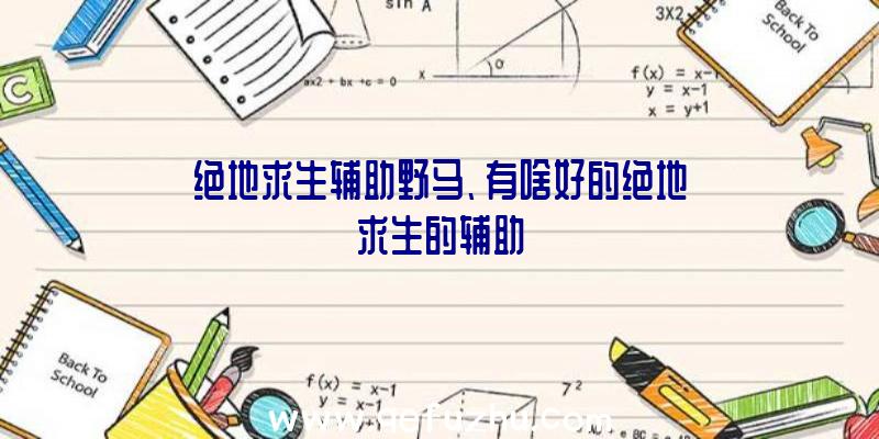 绝地求生辅助野马、有啥好的绝地求生的辅助