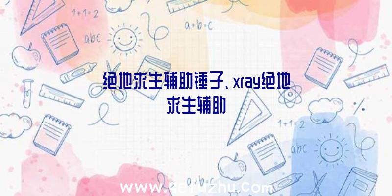 绝地求生辅助锤子、xray绝地求生辅助