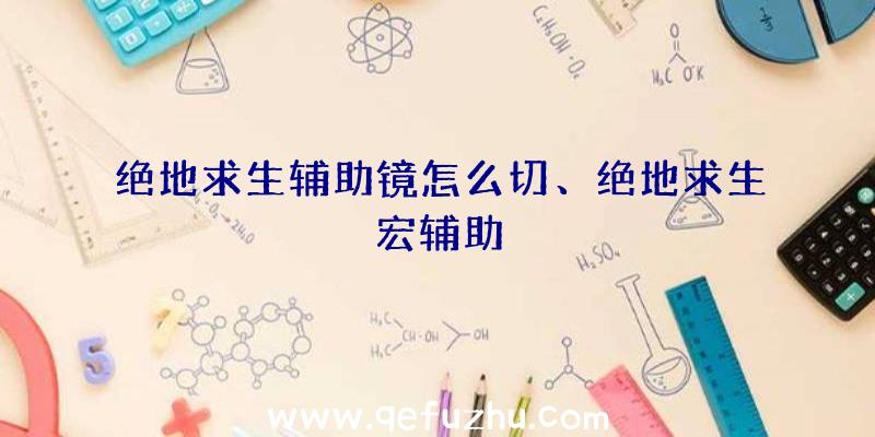 绝地求生辅助镜怎么切、绝地求生宏辅助