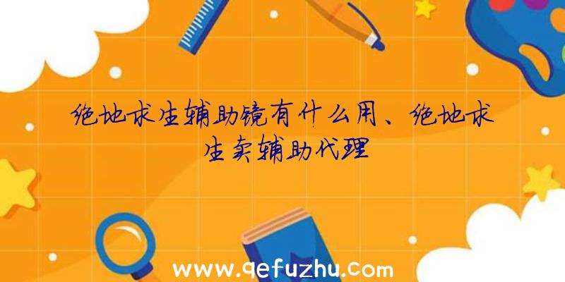 绝地求生辅助镜有什么用、绝地求生卖辅助代理