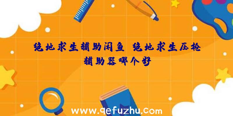 绝地求生辅助闲鱼、绝地求生压枪辅助器哪个好