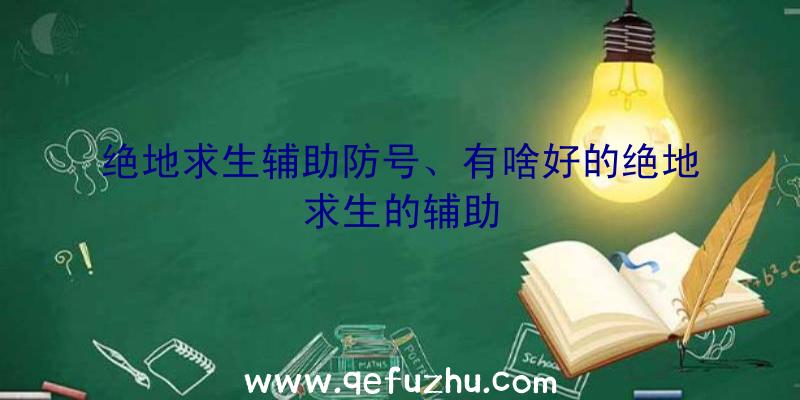 绝地求生辅助防号、有啥好的绝地求生的辅助