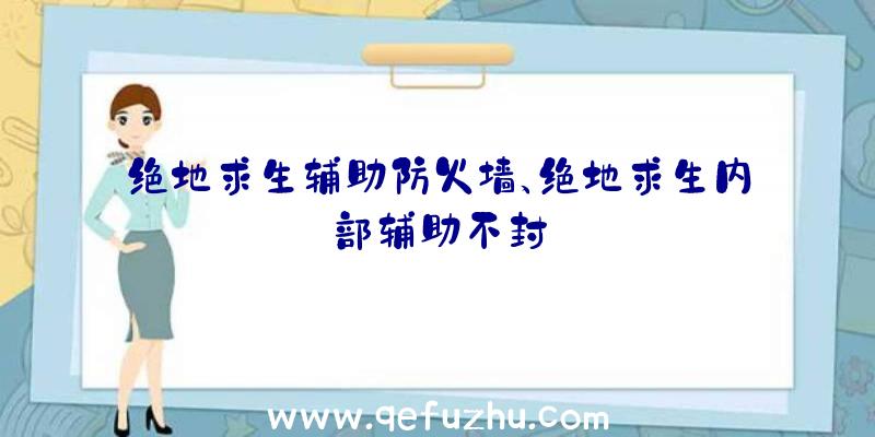 绝地求生辅助防火墙、绝地求生内部辅助不封