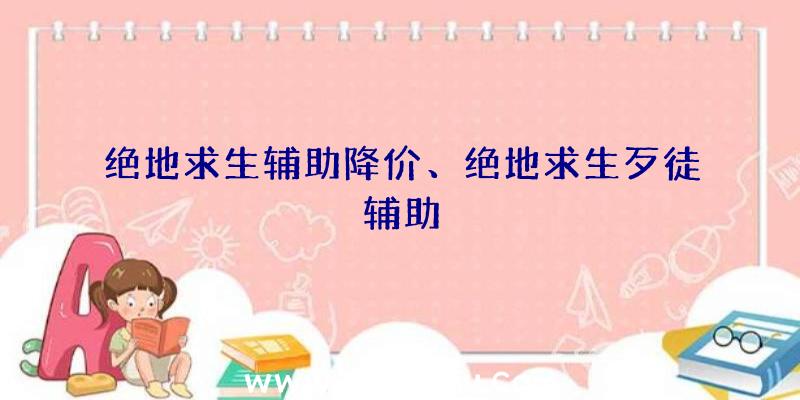 绝地求生辅助降价、绝地求生歹徒辅助