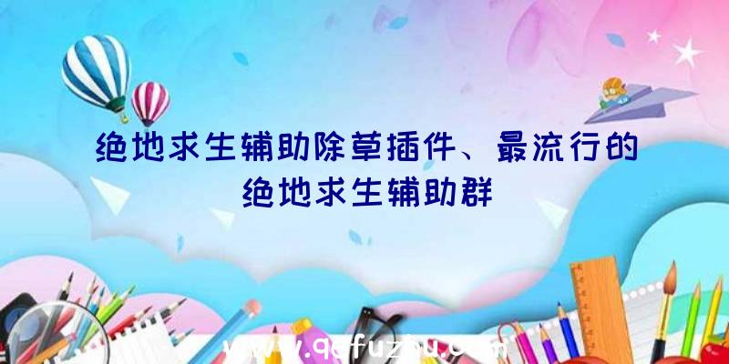 绝地求生辅助除草插件、最流行的绝地求生辅助群