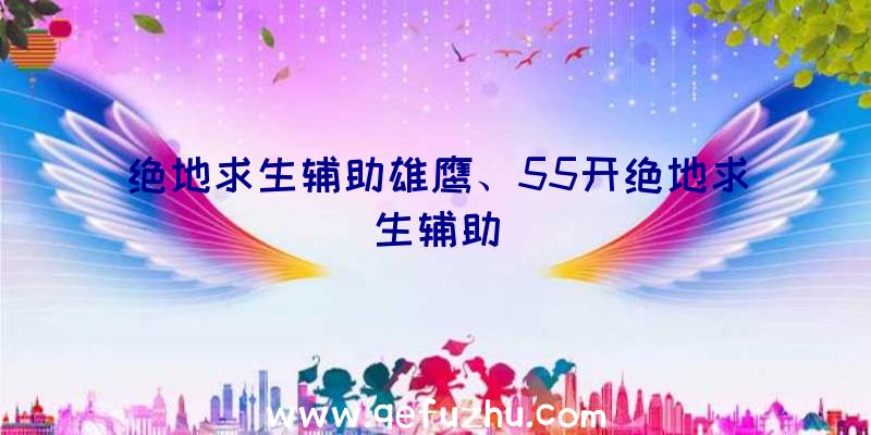 绝地求生辅助雄鹰、55开绝地求生辅助