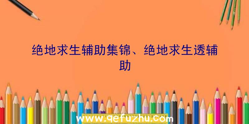 绝地求生辅助集锦、绝地求生透辅助