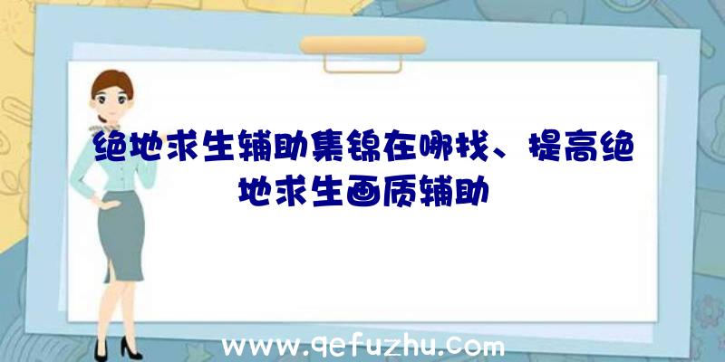 绝地求生辅助集锦在哪找、提高绝地求生画质辅助