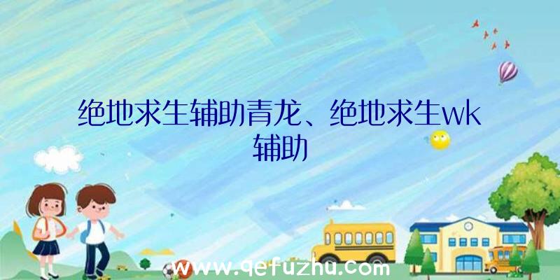 绝地求生辅助青龙、绝地求生wk辅助