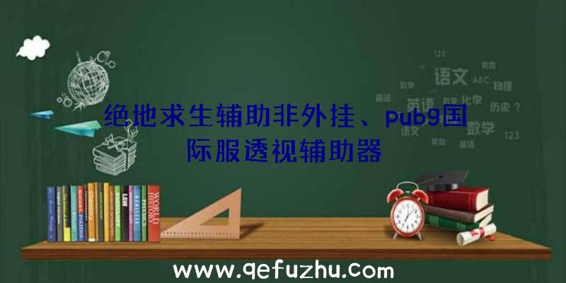 绝地求生辅助非外挂、pubg国际服透视辅助器