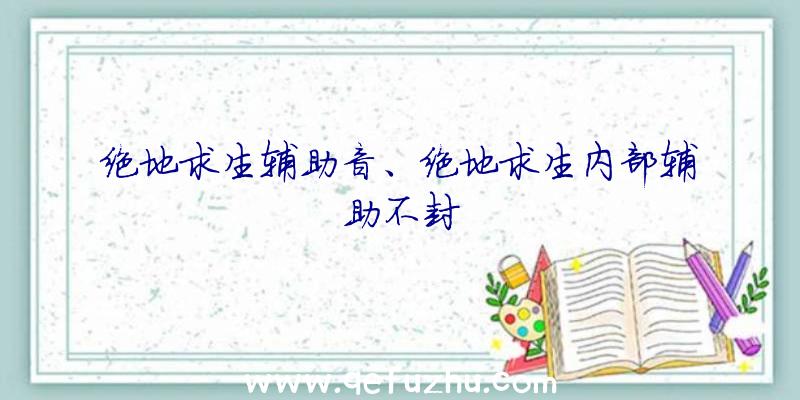 绝地求生辅助音、绝地求生内部辅助不封