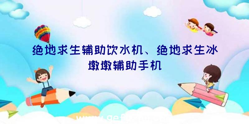 绝地求生辅助饮水机、绝地求生冰墩墩辅助手机