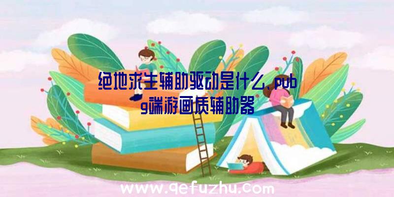 绝地求生辅助驱动是什么、pubg端游画质辅助器