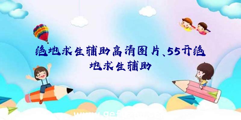 绝地求生辅助高清图片、55开绝地求生辅助