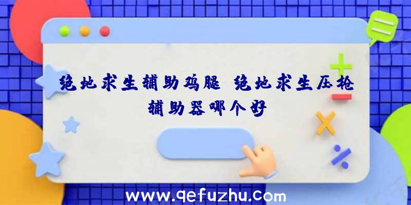 绝地求生辅助鸡腿、绝地求生压枪辅助器哪个好