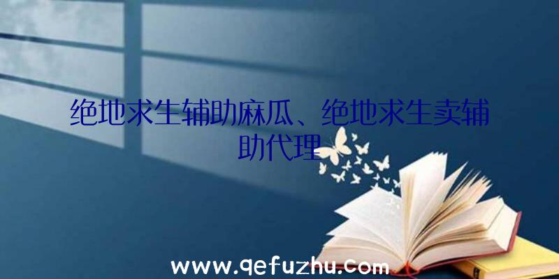 绝地求生辅助麻瓜、绝地求生卖辅助代理