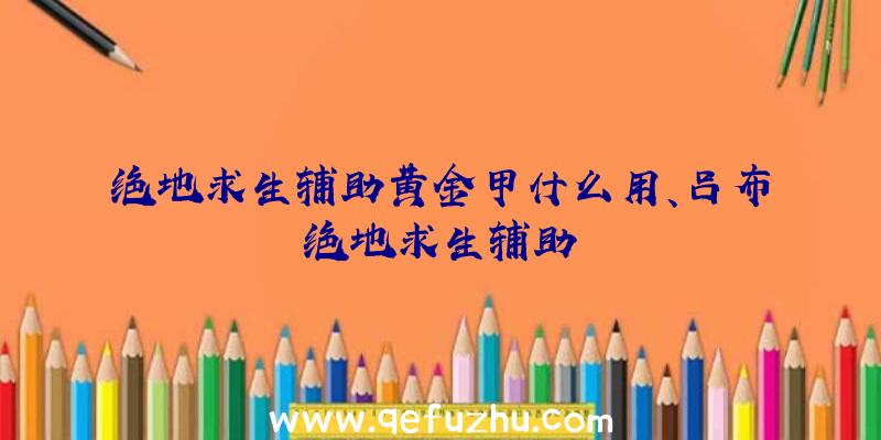 绝地求生辅助黄金甲什么用、吕布绝地求生辅助