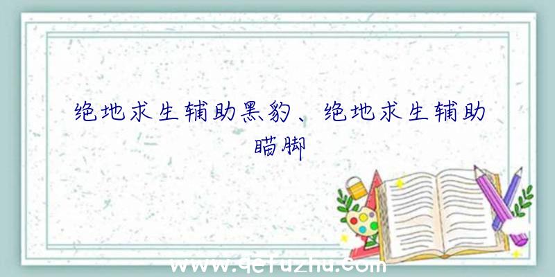 绝地求生辅助黑豹、绝地求生辅助瞄脚