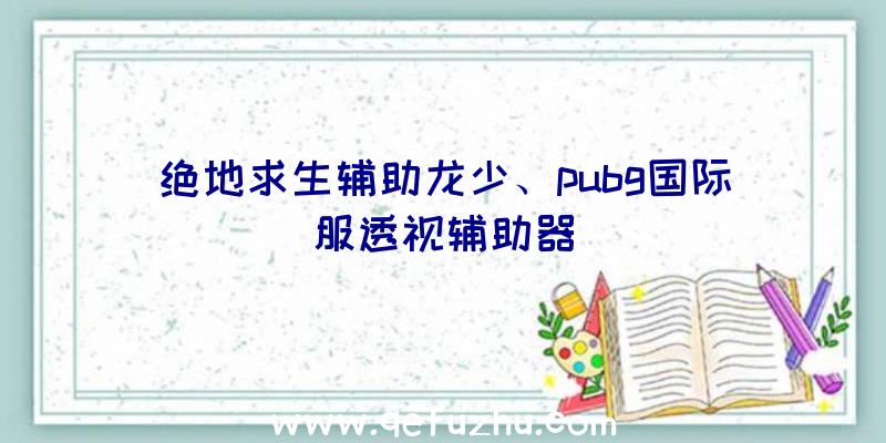 绝地求生辅助龙少、pubg国际服透视辅助器