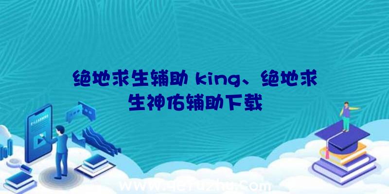 绝地求生辅助+king、绝地求生神佑辅助下载