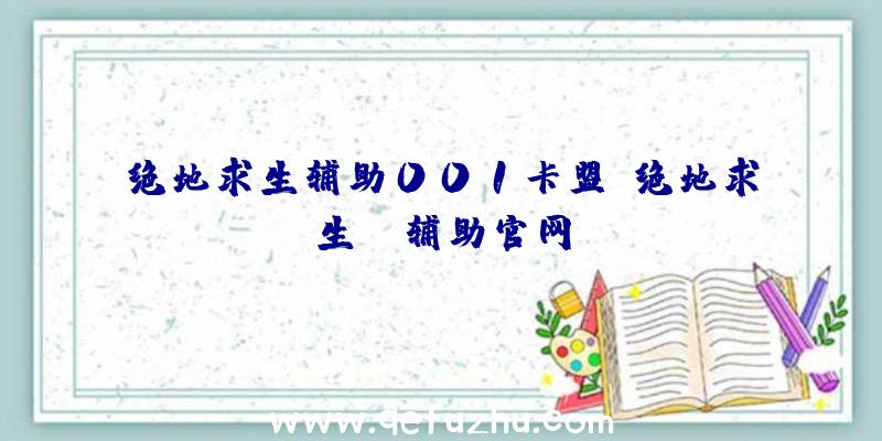 绝地求生辅助001卡盟、绝地求生be辅助官网