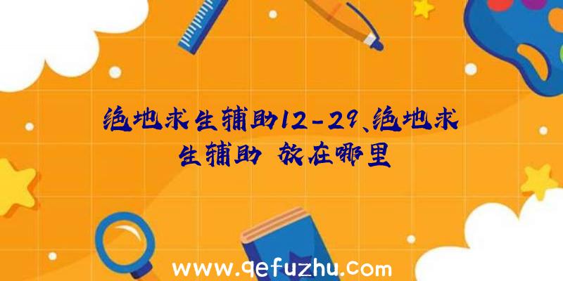 绝地求生辅助12-29、绝地求生辅助