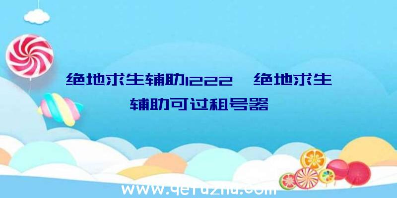 绝地求生辅助1222、绝地求生辅助可过租号器