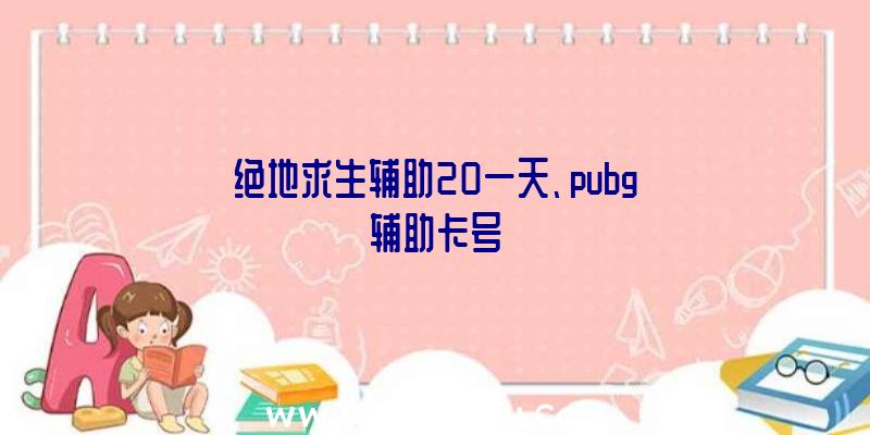 绝地求生辅助20一天、pubg辅助卡号