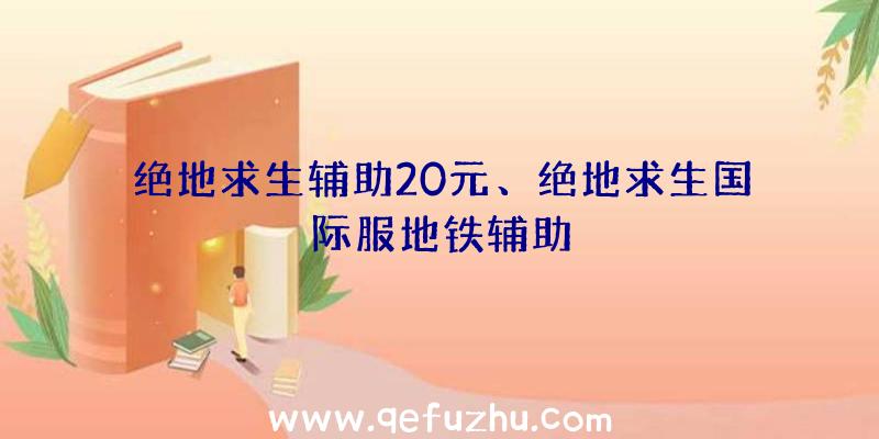 绝地求生辅助20元、绝地求生国际服地铁辅助