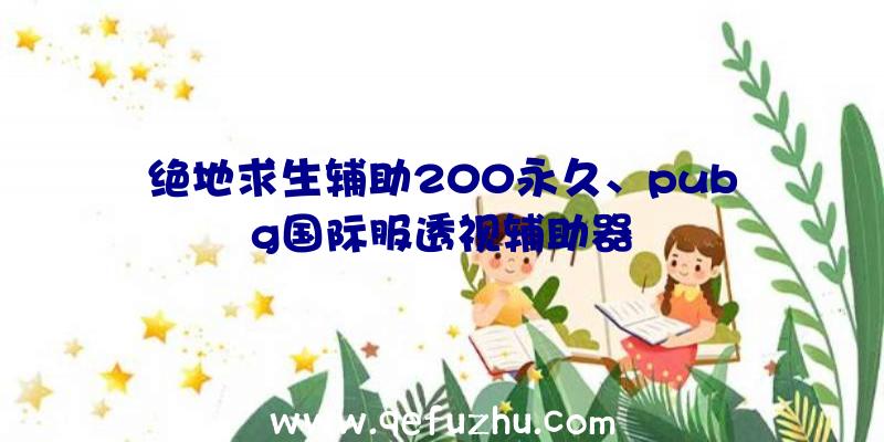 绝地求生辅助200永久、pubg国际服透视辅助器