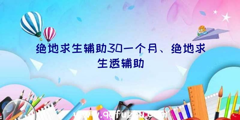 绝地求生辅助30一个月、绝地求生透辅助