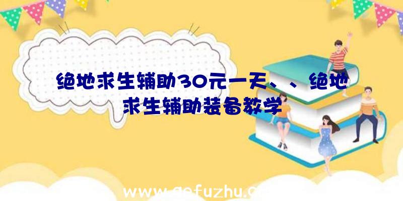 绝地求生辅助30元一天、、绝地求生辅助装备教学