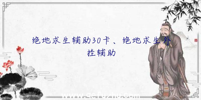 绝地求生辅助30卡、绝地求生外挂辅助