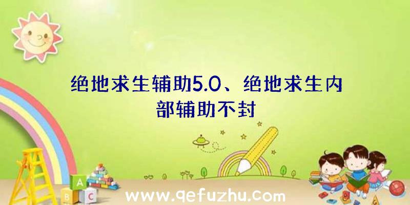 绝地求生辅助5.0、绝地求生内部辅助不封