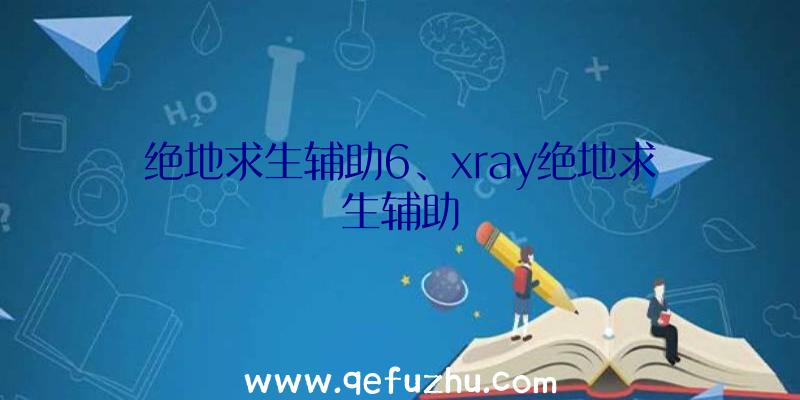 绝地求生辅助6、xray绝地求生辅助