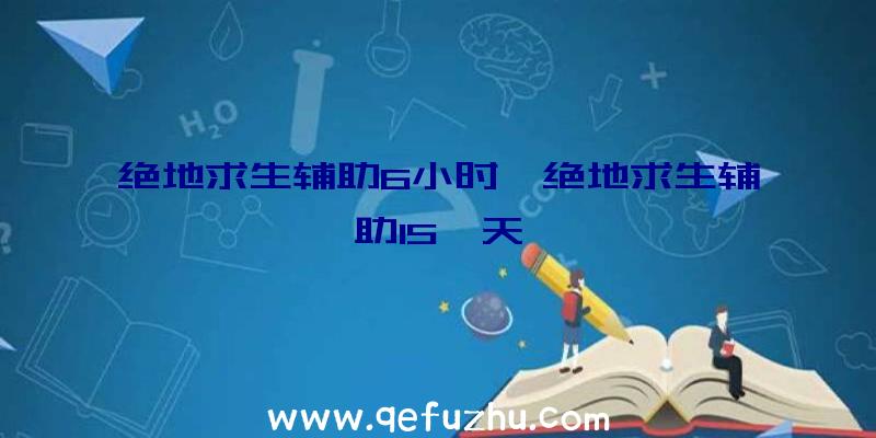 绝地求生辅助6小时、绝地求生辅助15一天