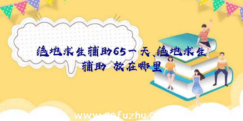 绝地求生辅助65一天、绝地求生辅助