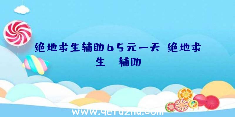 绝地求生辅助65元一天、绝地求生wk辅助