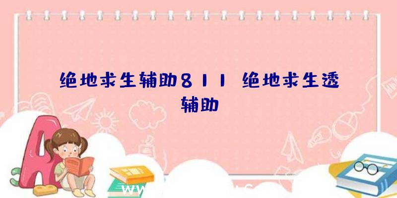 绝地求生辅助811、绝地求生透辅助