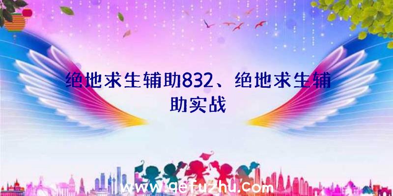 绝地求生辅助832、绝地求生辅助实战