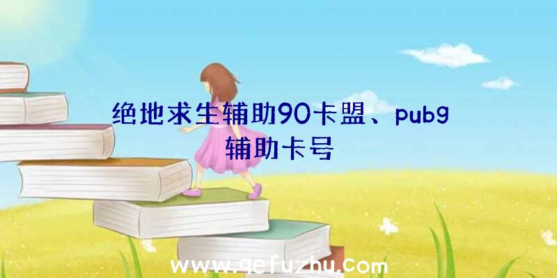 绝地求生辅助90卡盟、pubg辅助卡号