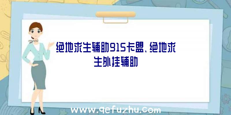 绝地求生辅助915卡盟、绝地求生外挂辅助