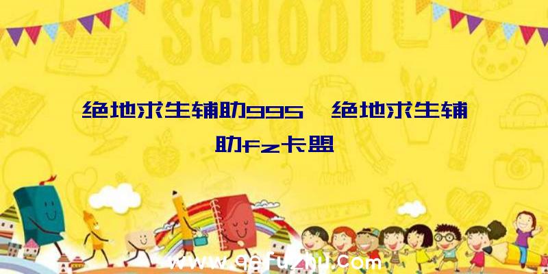 绝地求生辅助995、绝地求生辅助fz卡盟