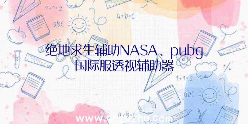 绝地求生辅助NASA、pubg国际服透视辅助器