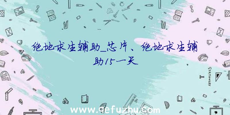 绝地求生辅助_芯片、绝地求生辅助15一天