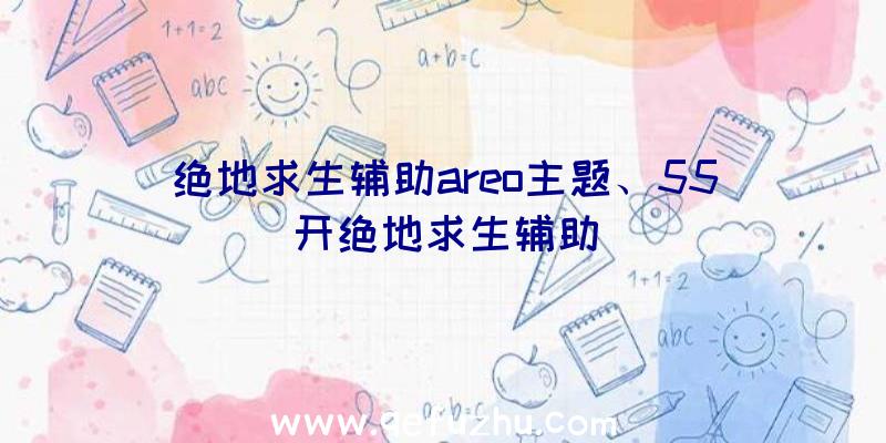 绝地求生辅助areo主题、55开绝地求生辅助