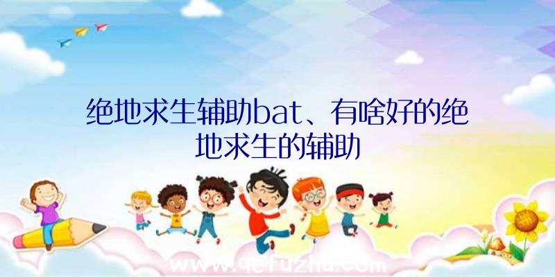 绝地求生辅助bat、有啥好的绝地求生的辅助