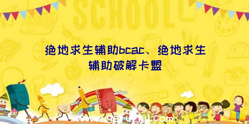 绝地求生辅助bcac、绝地求生辅助破解卡盟